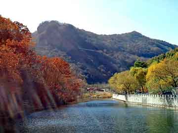 新澳天天开奖资料大全旅游团，昆明市高新区管委会